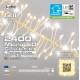 Премиум LED клъстър гирлянд 10м - 2400 LED топло бяло, с блясък